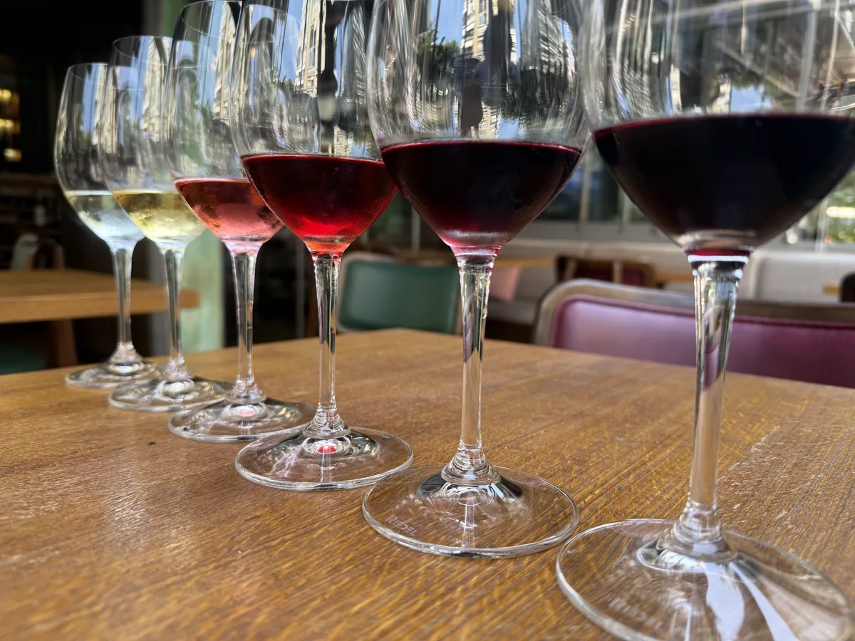 A colour spectrum of native Turkish grape wines poured by the glass, from pale Emir to deep Boğazkere, at WAYANA in Moda