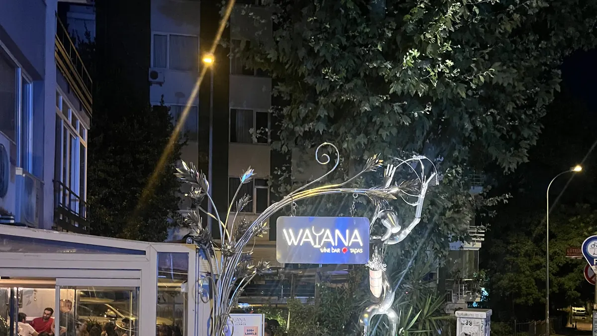 WAYANA Wine Bar's illuminated sign and sculpted tree at night in Moda, Kadıköy
